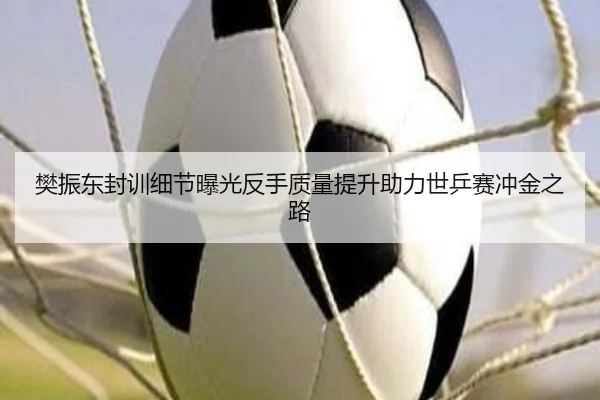 樊振东封训细节曝光反手质量提升助力世乒赛冲金之路